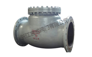 Large diameter check valve
