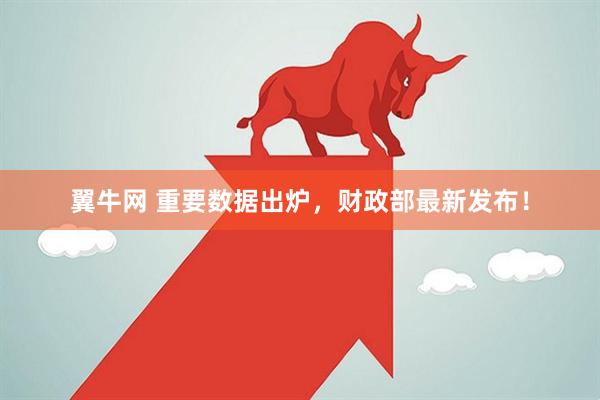 翼牛网 重要数据出炉，财政部最新发布！