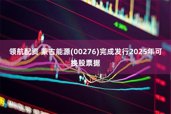 领航配资 蒙古能源(00276)完成发行2025年可换股票据