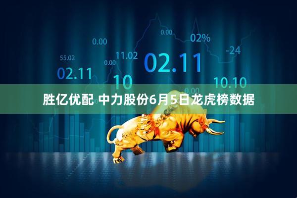 胜亿优配 中力股份6月5日龙虎榜数据