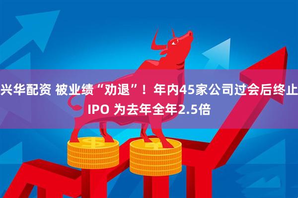 兴华配资 被业绩“劝退”！年内45家公司过会后终止IPO 为去年全年2.5倍