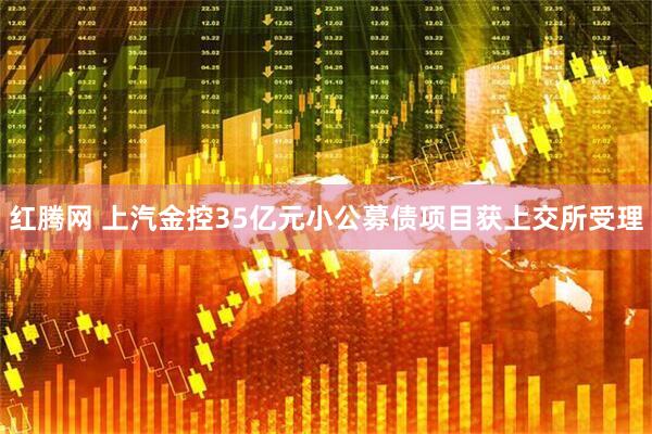 红腾网 上汽金控35亿元小公募债项目获上交所受理
