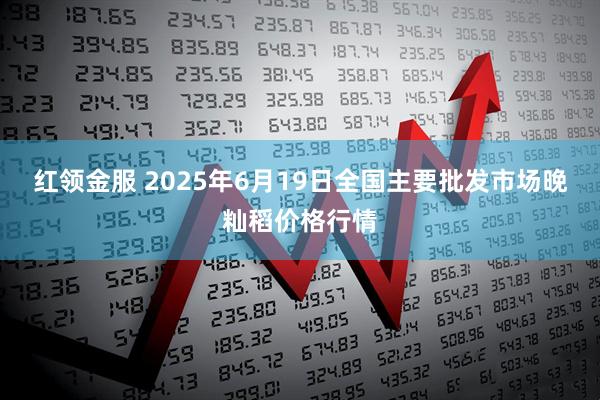 红领金服 2025年6月19日全国主要批发市场晚籼稻价格行情